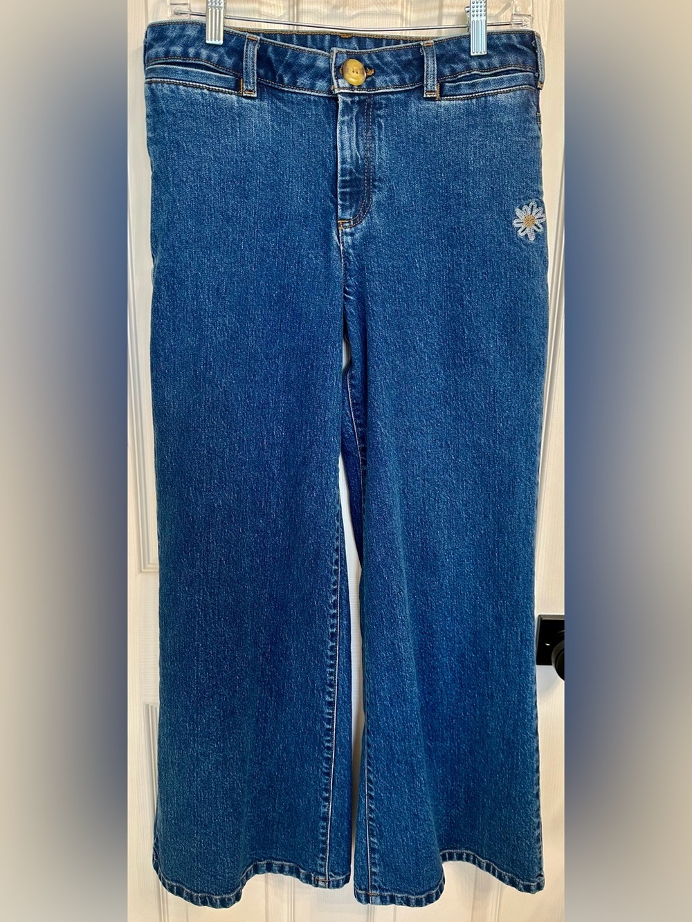 Anthro/Urban Outf. Denim Jeans with Daisy/Strwbry Embroidery SAMPLE Size 28